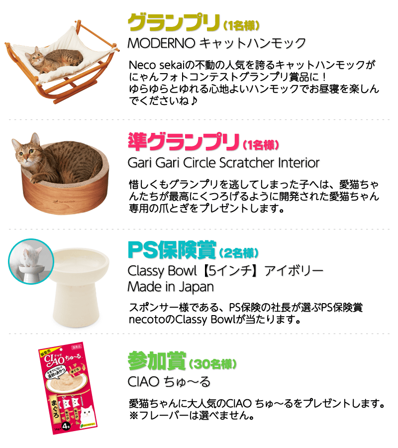 2月はにゃんこが主役!にゃんフォトコンテストプレゼント内容