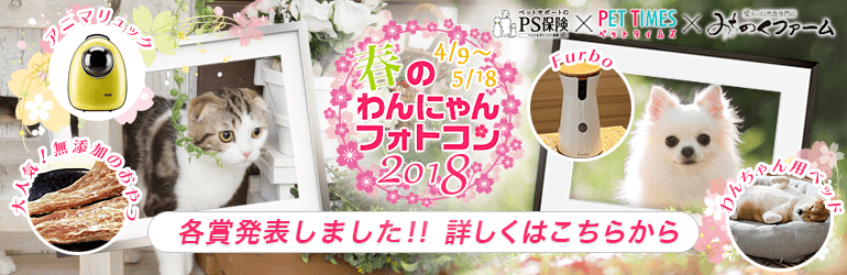 ワクワク☆春のわんにゃんフォトコン