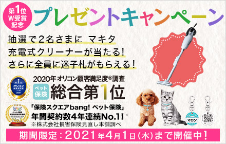 静岡県のおすすめお出かけスポット 愛犬とまかいの牧場に行こう ペットタイムズ