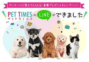 ペットタイムズのLINEができました