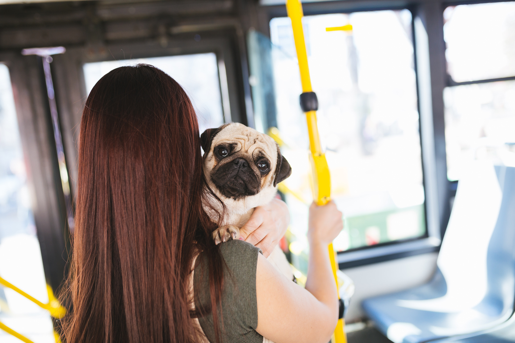 ペットとお出かけしたい！ペット同伴で電車やバスに乗る時の正しいマナー - ペットタイムズ
