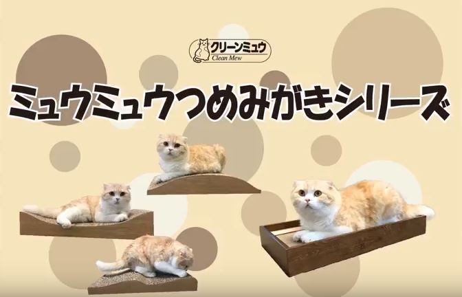 話題の商品】ミュウミュウつめみがき | ペットタイムズ