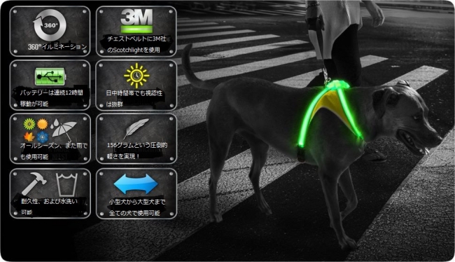 夜間のお散歩をもっと楽しく！圧倒的に目立つ犬用ハーネスが日本で本格販売開始!!