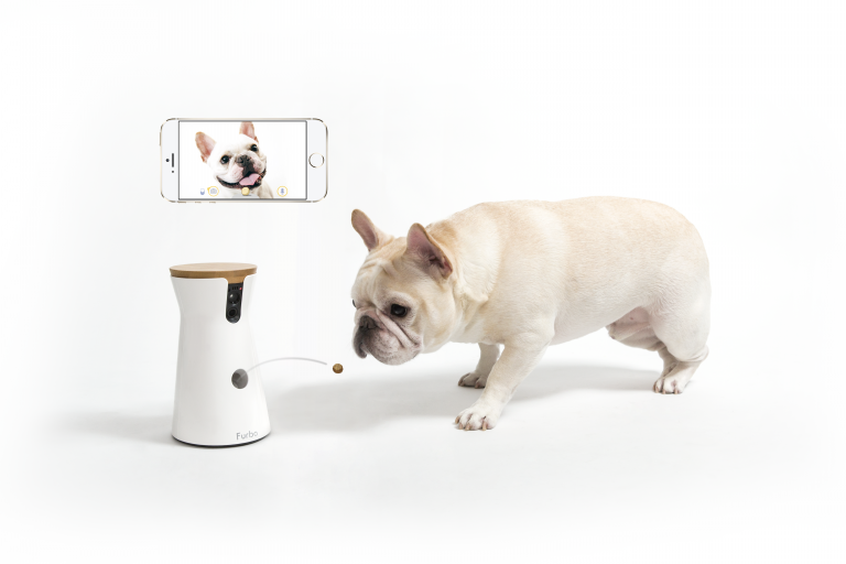【話題の商品】ドッグカメラ「Furbo（ファーボ）」がAIを搭載して新登場！ | Furbo 愛犬のためのペットカメラ
