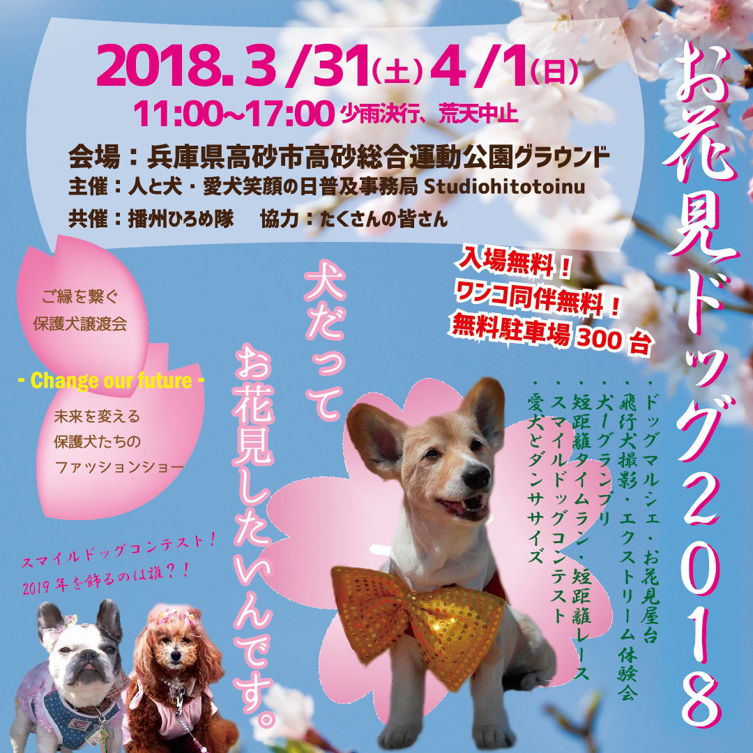 【イベント情報】お花見ドッグ2018～犬だってお花見したいんです～