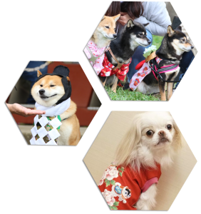 イベント情報 日本犬祭18 Nippon Dogs Carnival 18 ペットタイムズ