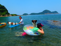 夏は海で遊ぼう！兵庫県に愛犬専用のわんわんビーチがオープン！