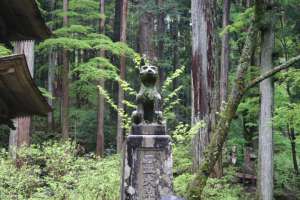 長野県の愛犬大歓迎のお寺 愛犬と一緒に光前寺におでかけしよう ペットタイムズ