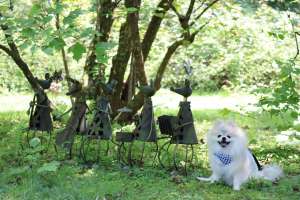 愛知県のおすすめおでかけスポット リトルワールドで 愛犬と世界旅行気分を味わおう ペットタイムズ