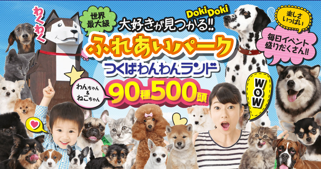【茨城県のおすすめお出かけスポット】愛犬のためのテーマパーク、つくばわんわんランドに行こう！