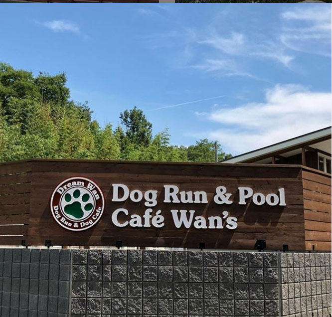 埼玉県のおすすめおでかけスポット 18年7月オープン Dogrun Pool Cafe Wans ドッグラン プールカフェワンズ に行こう ペットタイムズ