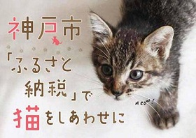 犬猫殺処分ゼロを目指すふるさと納税を活用した動物愛護支援事業を推進しています