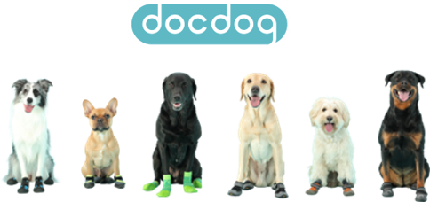 犬の足元周りの悩みにアプローチする　「docdog（ドックドッグ）」