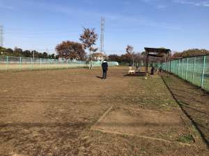 画像をダウンロード 深大寺 ドッグラン 事故 深大寺 ドッグラン 事故 Jozirasutomfcu