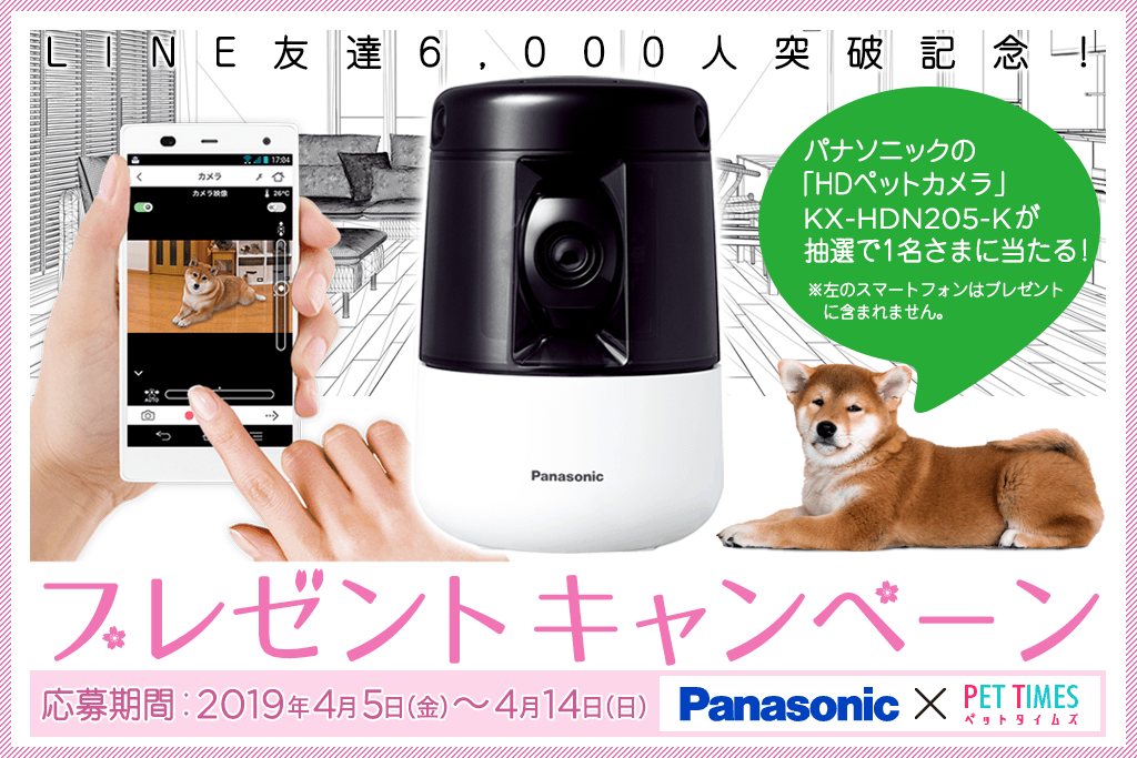得価最新品 Panasonic - 22年4月まで補償あり！ パナソニック HDペット