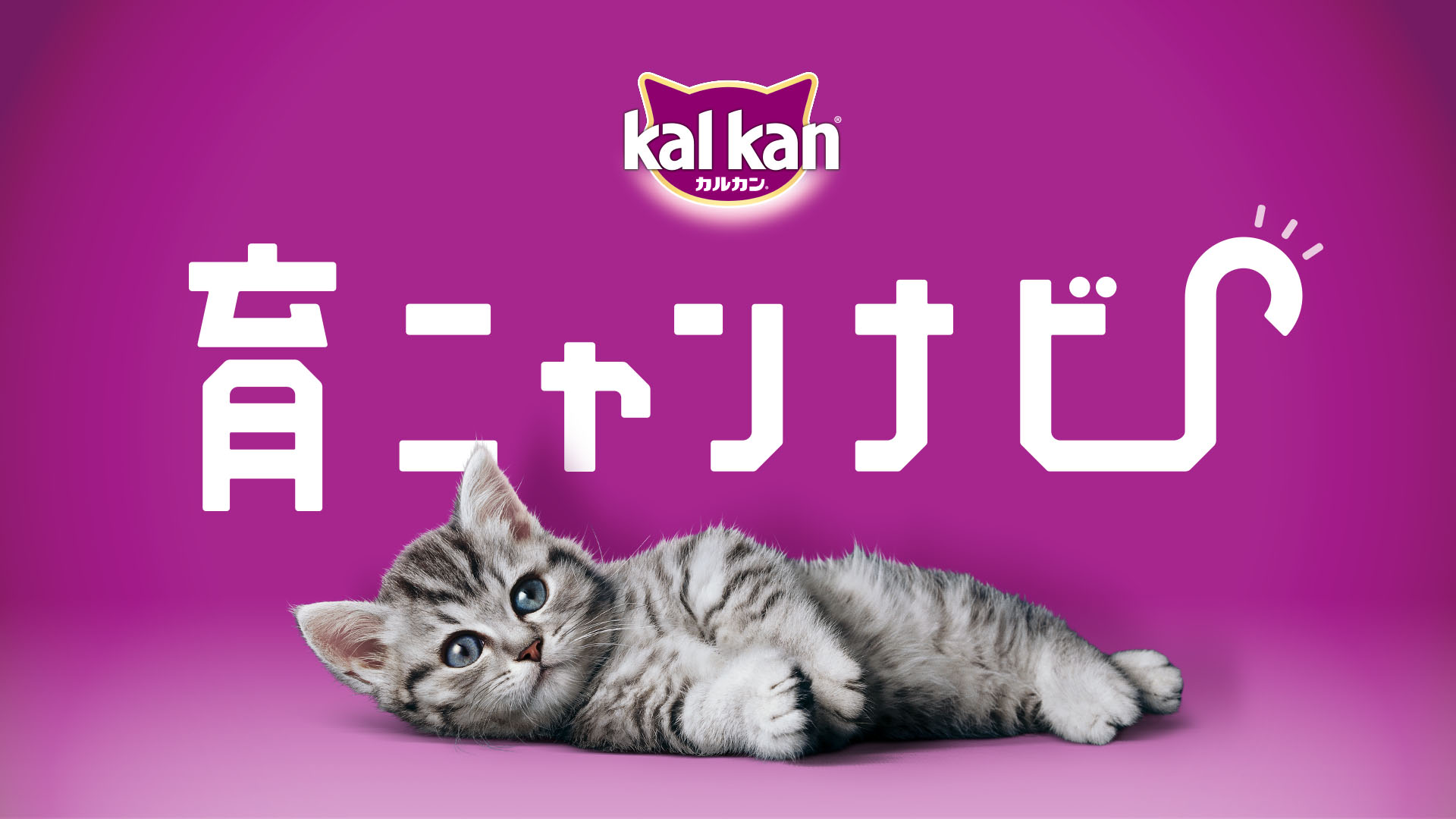 カルカン®が初めて子猫を飼い始める「子猫育てビギナー」を応援！「子猫育て」を音声でサポートするアプリ「育ニャンナビ」リリース