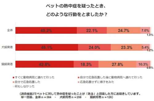  調査結果6．ペットの熱中症を疑ったとき、どのような行動をとりましたか？