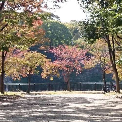 おもいでの森・市民の森