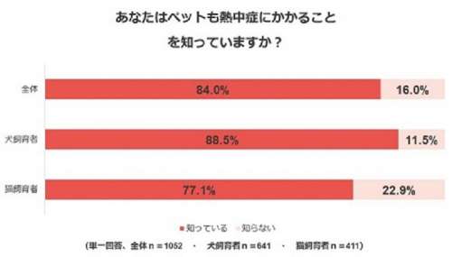 ペットも熱中症にかかることを「知っている」と回答したのは8割以上