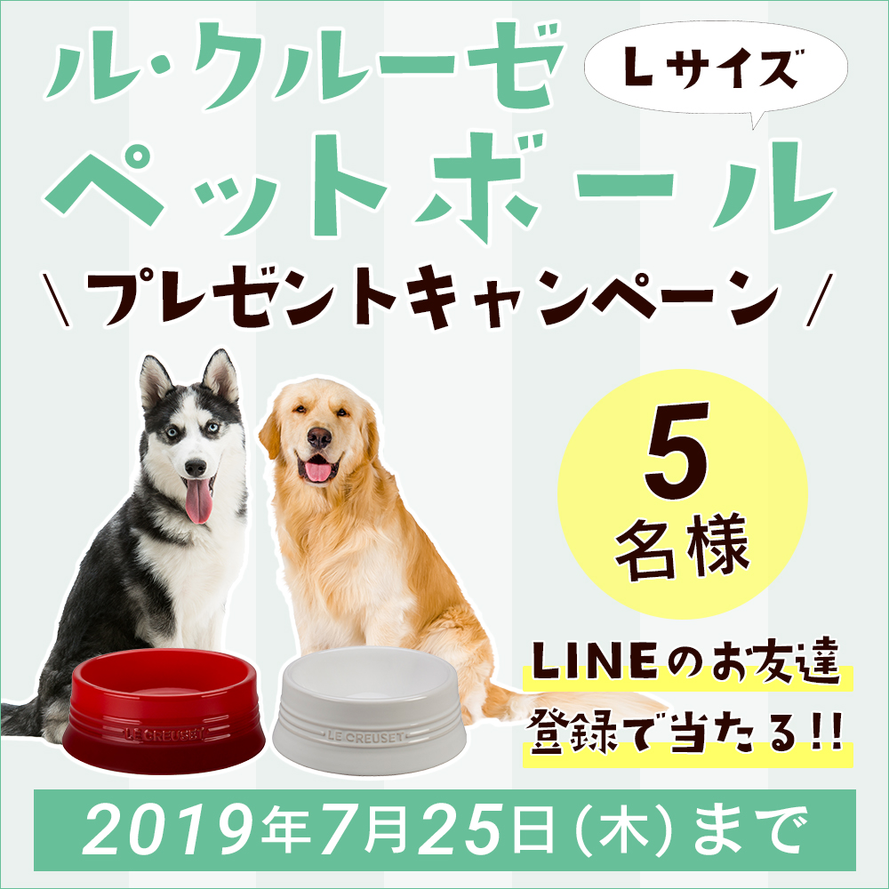 Lineお友達登録プレゼントキャンペーン ル クルーゼのペットボール L が抽選で5名様にプレゼント ペットタイムズ