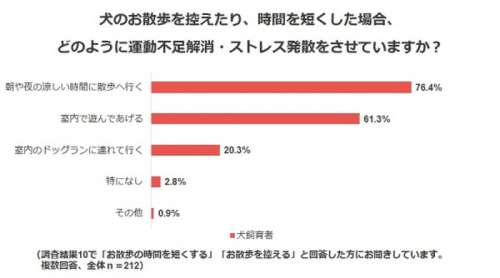 調査結果11．犬のお散歩を控えたり、時間を短くした場合、どのように運動不足解消・ストレス発散をさせていますか？