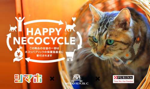 HAPPY NECOCYCLE