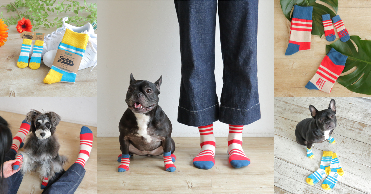 日本初！？犬の靴・靴下専門店「ドックドッグ」から、愛犬とお揃いで履ける人用靴下が新登場！7月24日（水）よりAmazonで販売開始