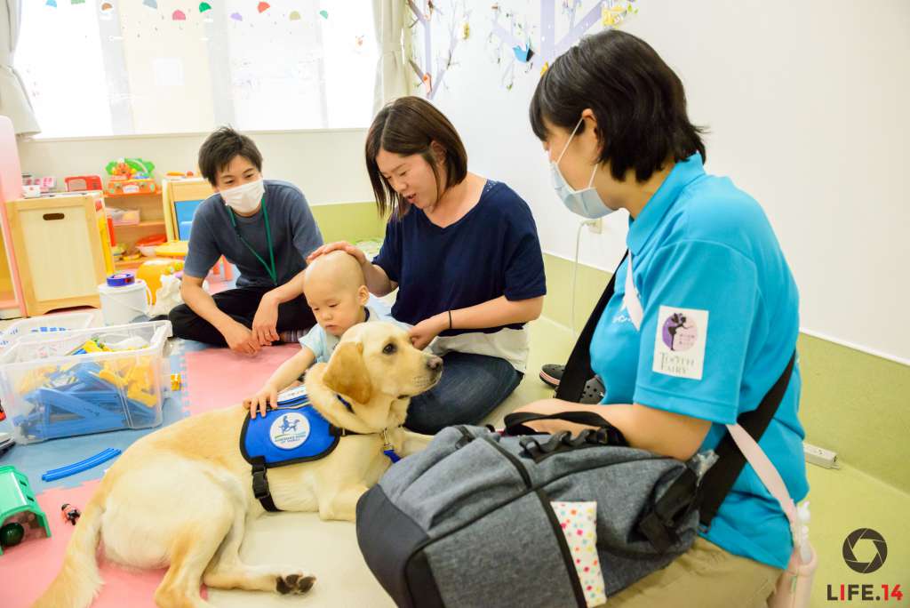 ファシリティドッグの大きな特徴は、毎日同じ病院に勤務し、個々のニーズに合わせた活動を行うこと