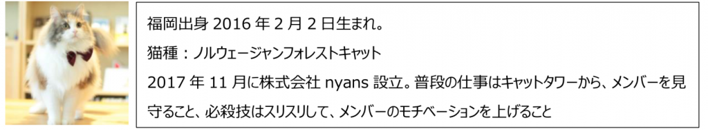 代表猫　チェルシー経歴