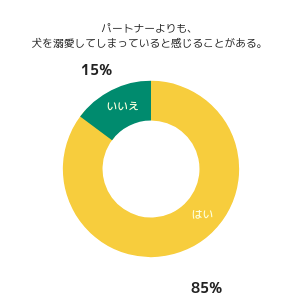 「愛犬の誕生日は、毎日お祝いしている」の調査結果