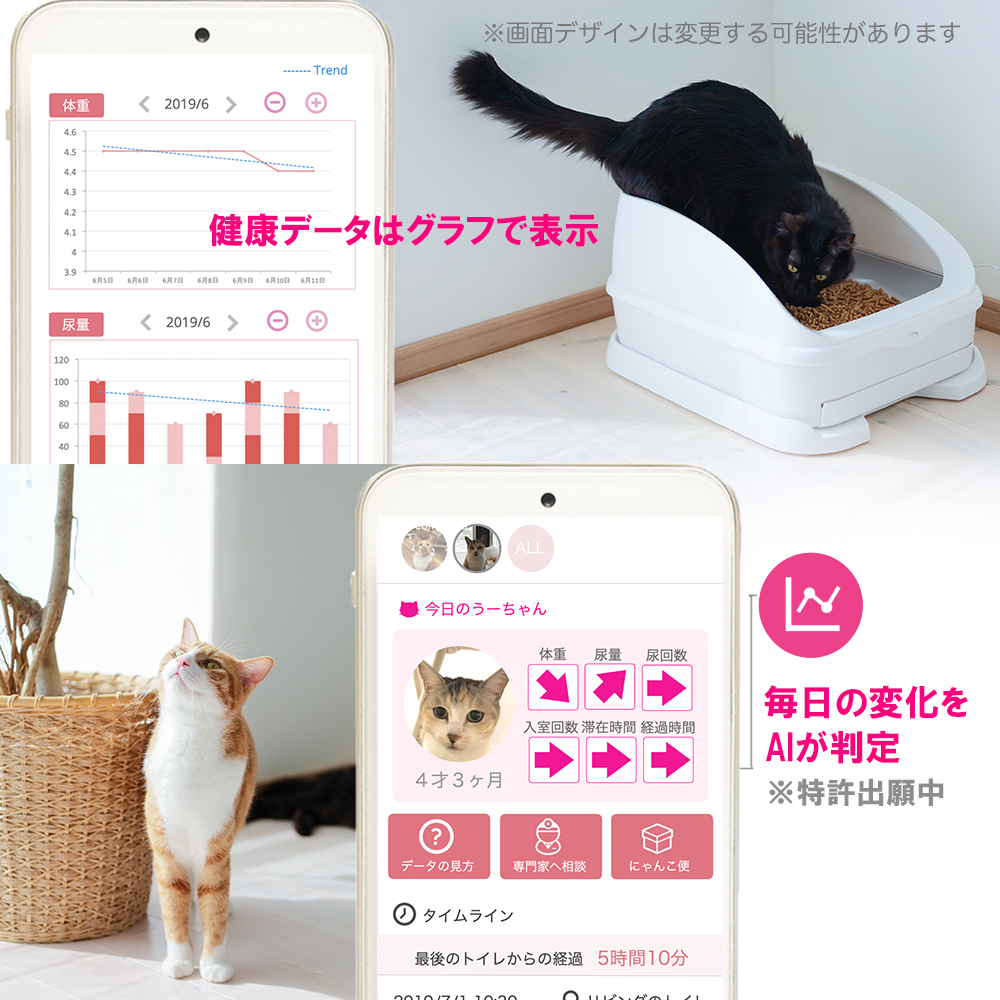 毎日のねこの状態をAIが判定【世界初】