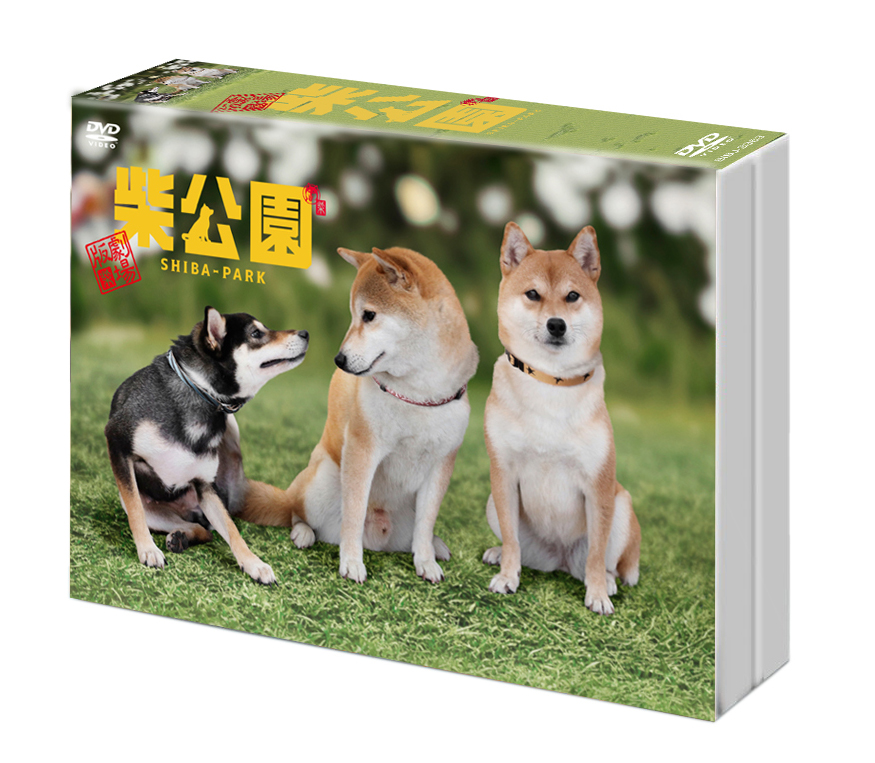 柴犬に癒されること間違いなしの『劇場版 柴公園』DVDが11月2日に発売決定！