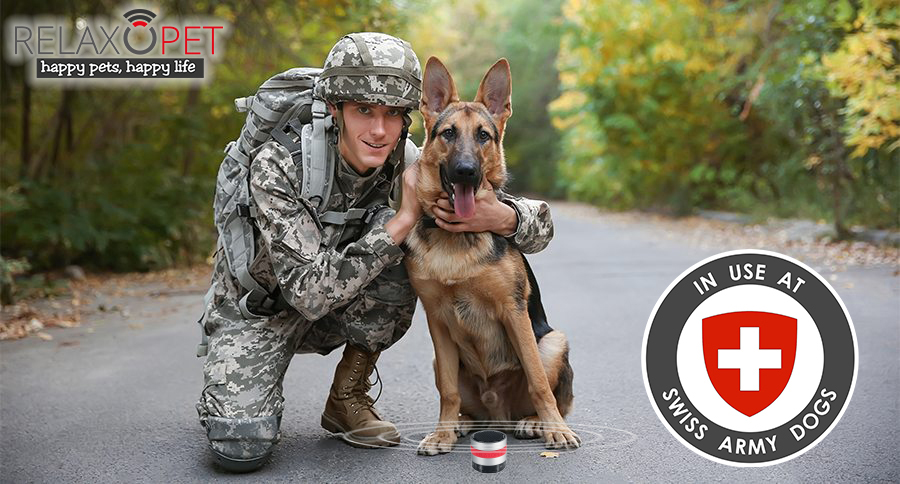 スイス軍の犬のリラックス用にも使用