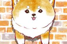 全柴犬好きに贈る！　SNSで大人気のオール柴犬コミック『しばいぬのあたちたち』7月31日（水）発売‼