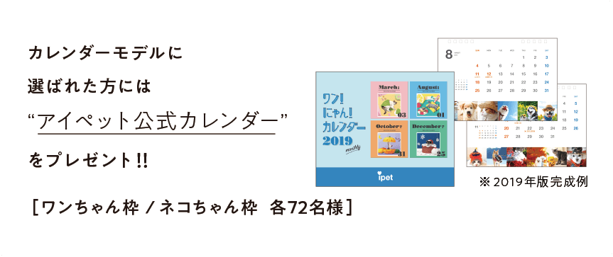 うちの子カレンダー2020：カレンダーイメージ