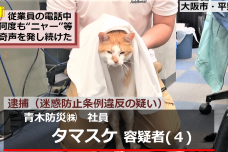 ネコが迷惑防止条例違反で逮捕!? SNSで話題の 『逮捕ネコ タマスケ』グッズ発売開始のお知らせ