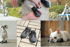 獣医師監修のもと耐久性と軽さにこだわった犬用ブーツ「ドックドッグ いぬくつ」が2019年9月20日（金）より新発売!!
