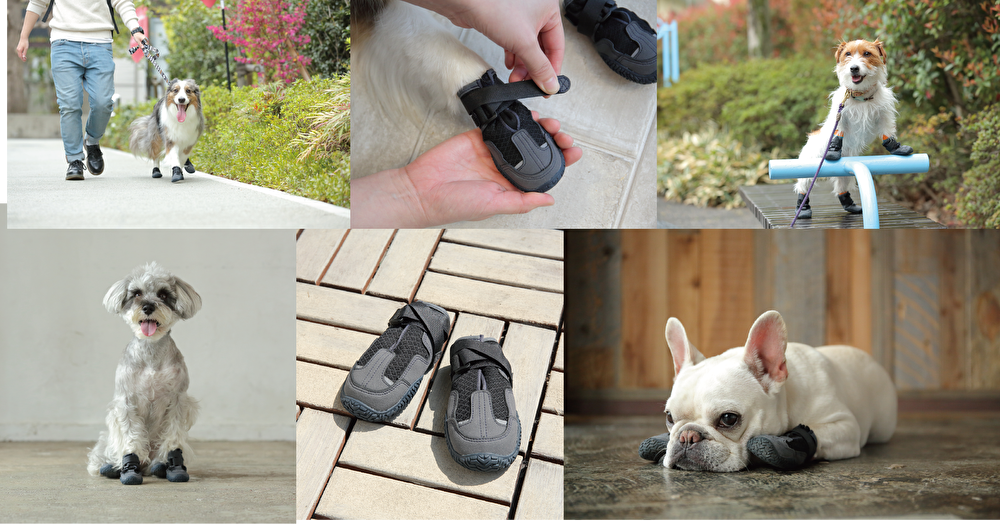 獣医師監修のもと耐久性と軽さにこだわった犬用ブーツ「ドックドッグ いぬくつ」が2019年9月20日（金）より新発売!!