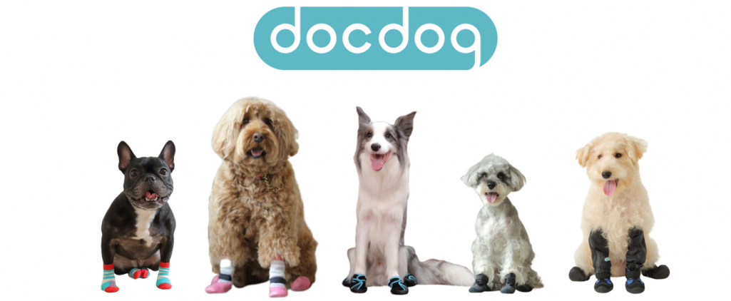 犬の足元周りの悩みにアプローチする　「docdog（ドックドッグ）」とは