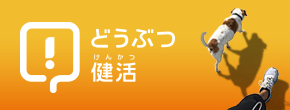 お家でできる！「どうぶつ健活」