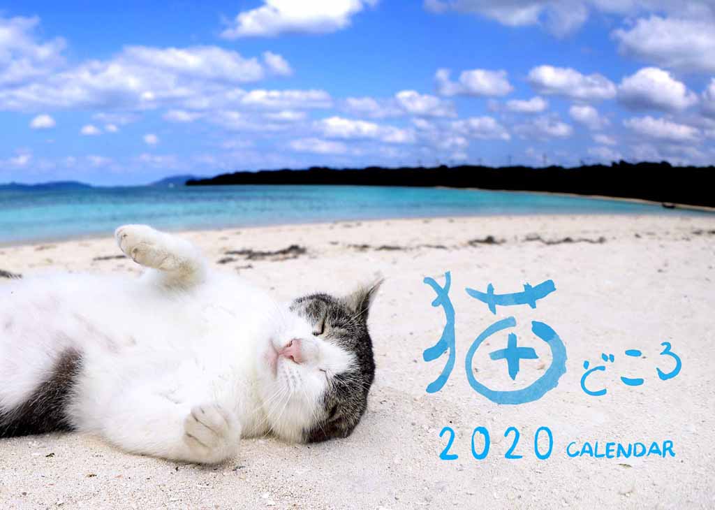 令和になっても愛らしい！肉球マニアに捧ぐカレンダー　恒例「猫どころ2020」1部1000円　産経iDで販売