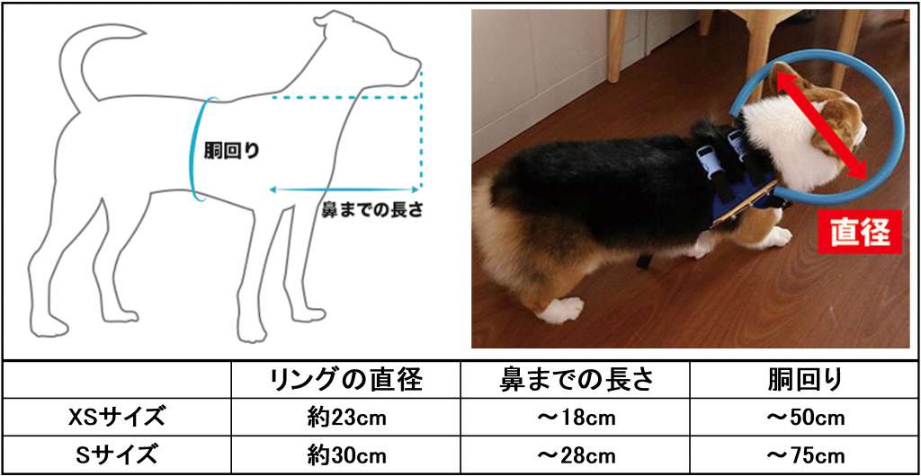 盲目犬ガード　わんだふるリングのサイズ