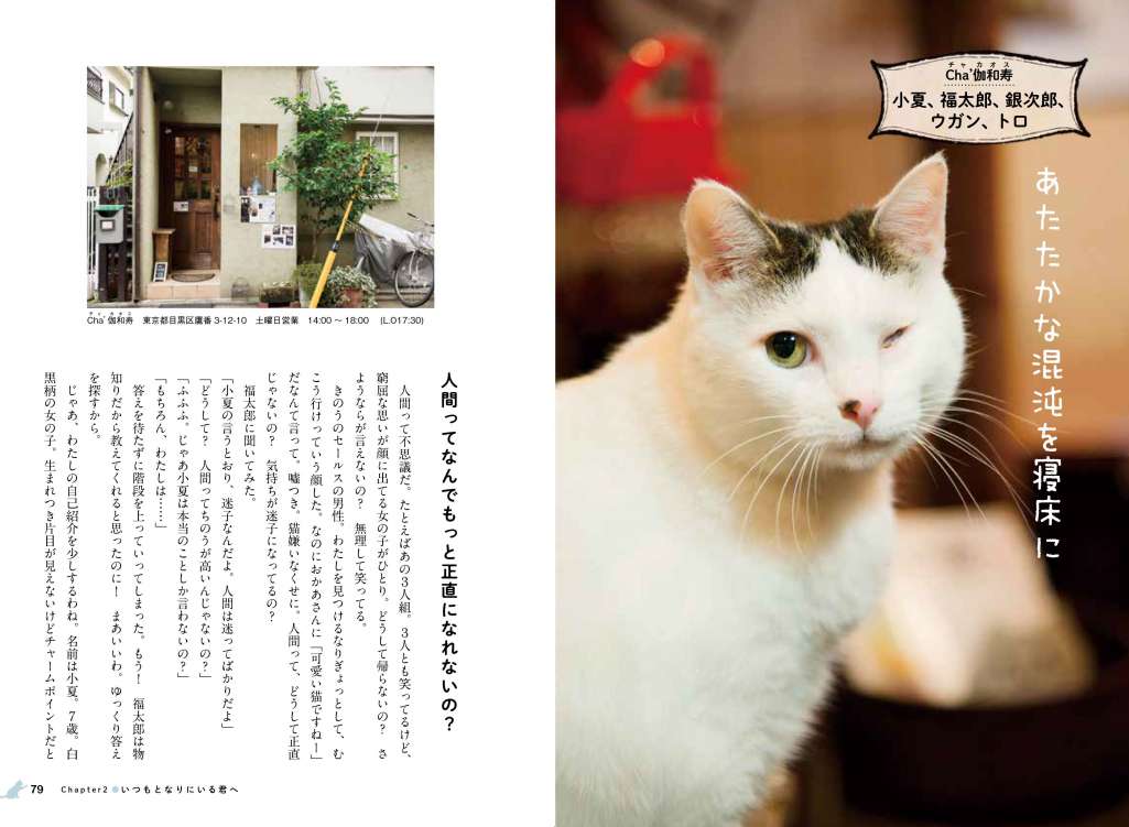 「看板にゃん猫」誌面2