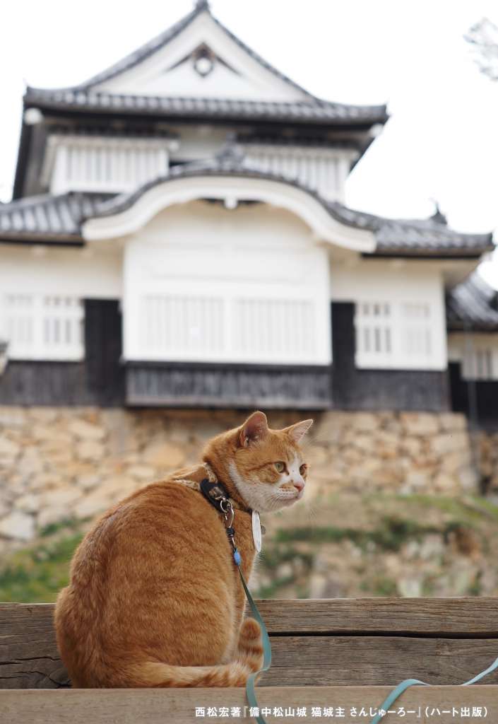 本物の城主誕生