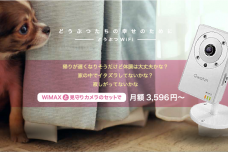 【アドベント】どうぶつWiFiにペット見守りカメラのセットプランを追加、11/23(土）より受注開始