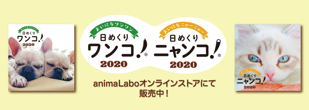 『日めくりワンコ！®』『日めくりニャンコ！®』について