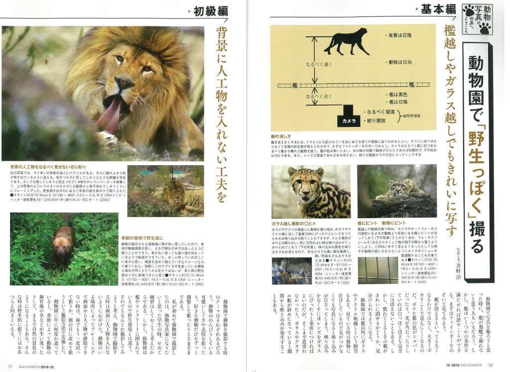 日本に生息する身近な野生動物の見つけ方や撮影地ガイド、被写体として人気の高い野鳥の捉え方