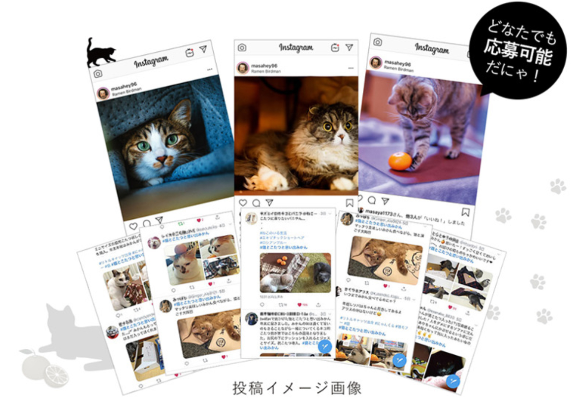 「#猫とこたつと思い出みかん」をつけてInstagramまたはTwitterで投稿すれば、1投稿につき2円が、こちらも保護猫のために寄付されます