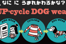 子どもの古着を犬服へ循環するサステナブルな企画