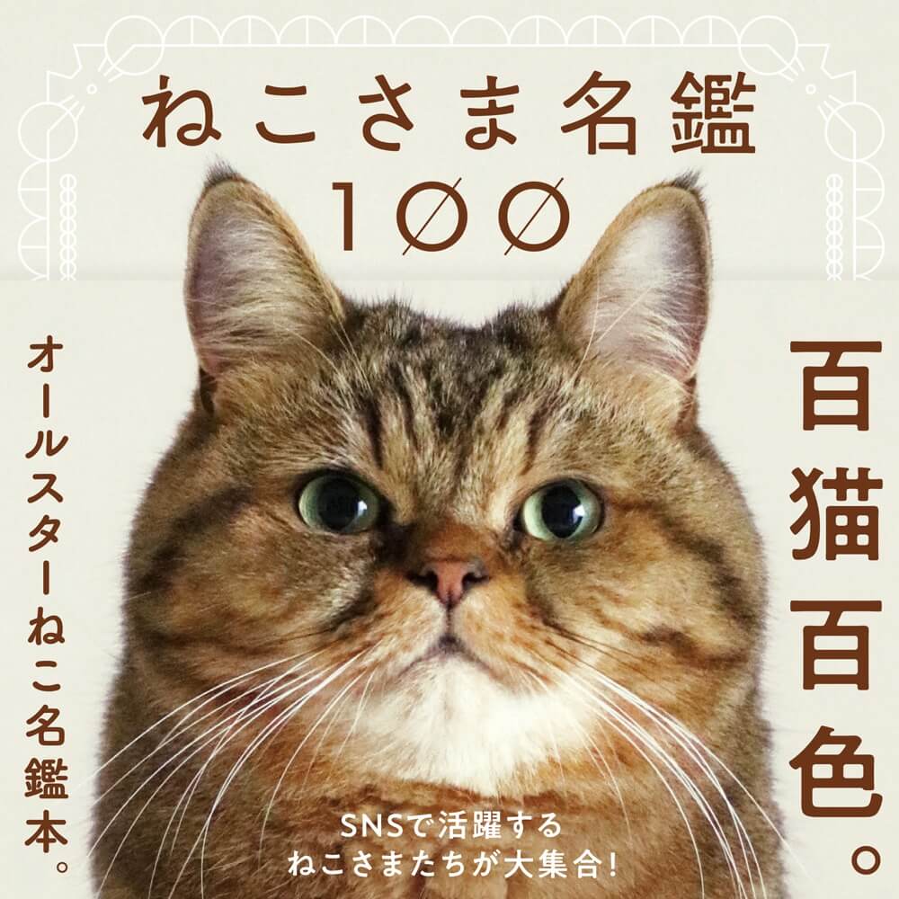 “推しねこ”がきっと見つかる、オールスターねこ名鑑本『ねこさま名鑑100』発売！